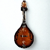 Mandolina 8 Cuerdas Estilo A-Style Sunburst Acústica