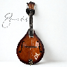 Mandolina Acustica 8 cuerdas